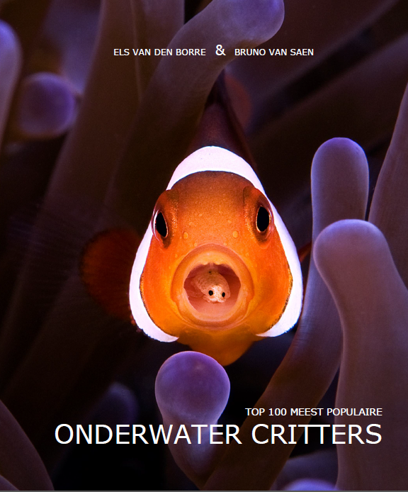 Onderwater critters